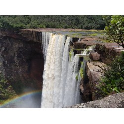 Kaieteur Falls