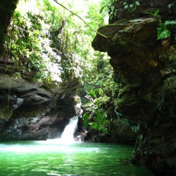 Trinidad City Tours and nature Tour Package