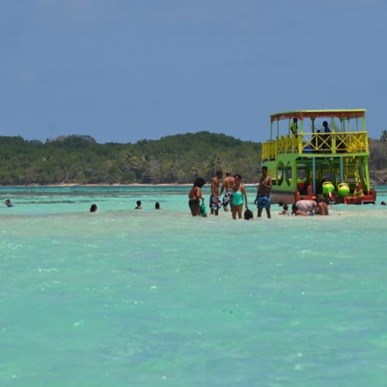 Glass Bottom Boat Tour 