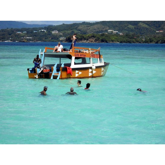 Glass Bottom Boat Tour 