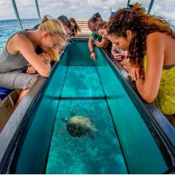 Glass Bottom Boat Tour 