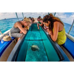 Glass Bottom Boat Tour 