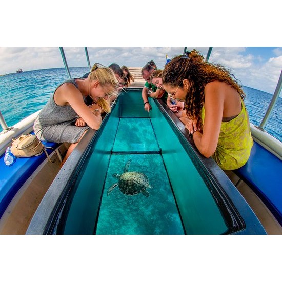 Glass Bottom Boat Tour 