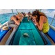 Glass Bottom Boat Tour 