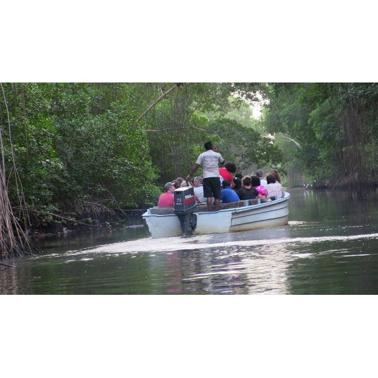 Caroni Bird Sanctuary Tour