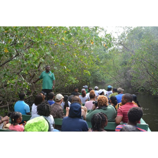 BE MERRY IN THE CITY & RELAX WITH THE SCARLET IBIS (WHOLE DAY TOURS)