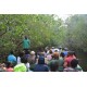 Caroni Bird Sanctuary Tour