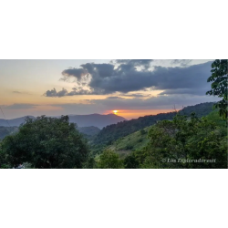 Adventure Jeep tour over the hills of Paramin