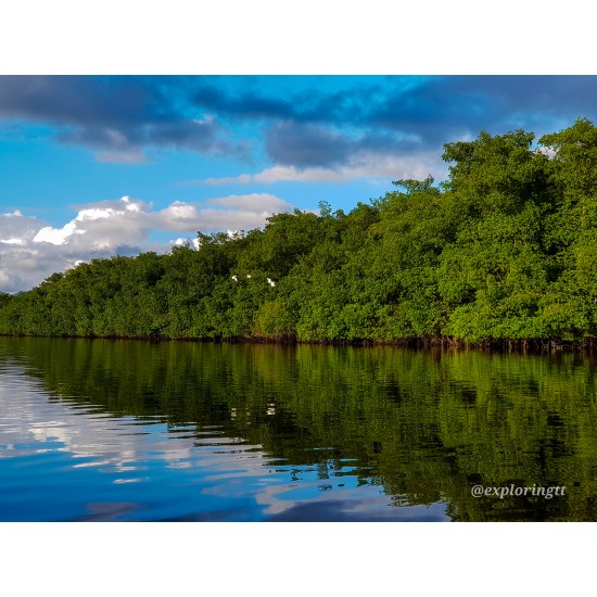 Kayak Adventure in the Second Largest Swamp of Trinidad and Tobago