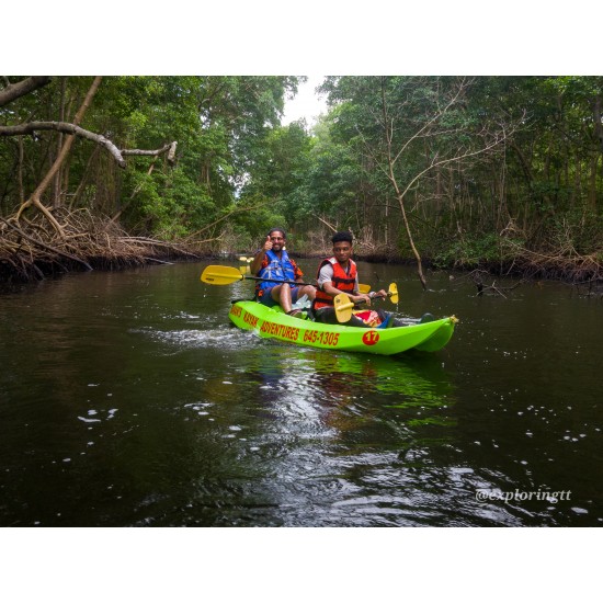 Kayak Adventure in the Second Largest Swamp of Trinidad and Tobago