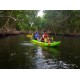 Kayak Adventure in the Second Largest Swamp of Trinidad and Tobago