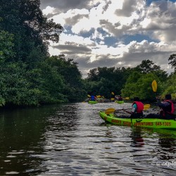 Kayak Adventure in the Second Largest Swamp of Trinidad and Tobago