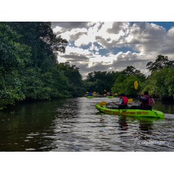 Kayak Adventure in the Second Largest Swamp of Trinidad and Tobago