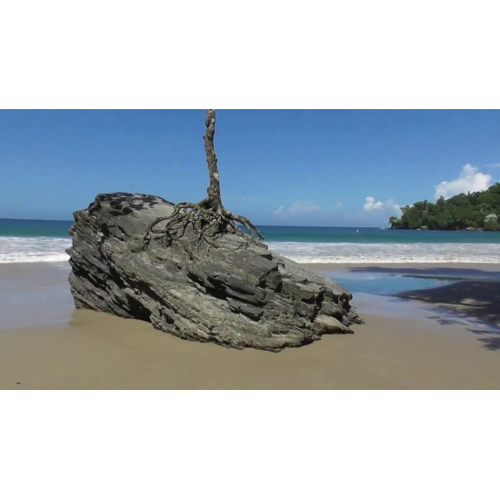 Trip to Las Cuevas Bay