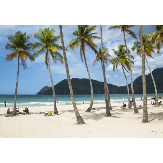 Trip to Maracas Beach