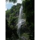 Maracas Waterfall and St. Joseph Church