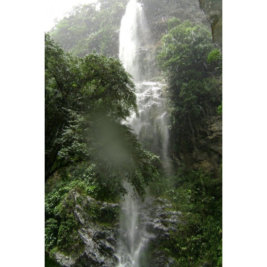 Maracas Waterfall and St. Joseph Church