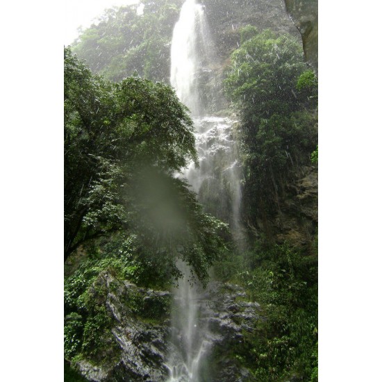 Maracas Waterfall and St. Joseph Church