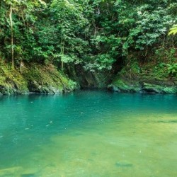 Mermaid Pool Adventure 