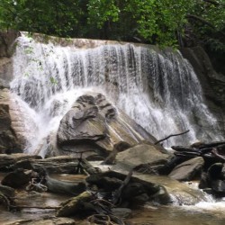 Turure Watersteps Falls