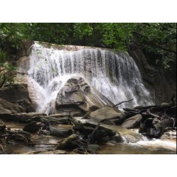 Turure Watersteps Falls