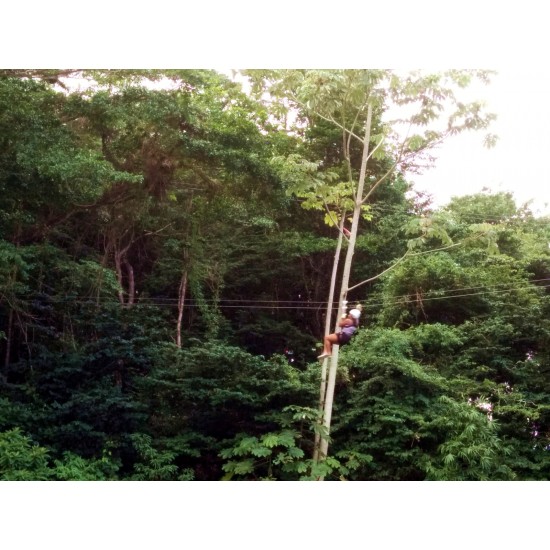 Zip Line Experience