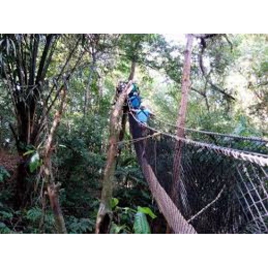 Zip Line Experience